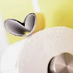 Scegliere un moderno porta rotolo da bagno