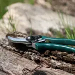Forbice da potare a batteria: i pro di questa scelta